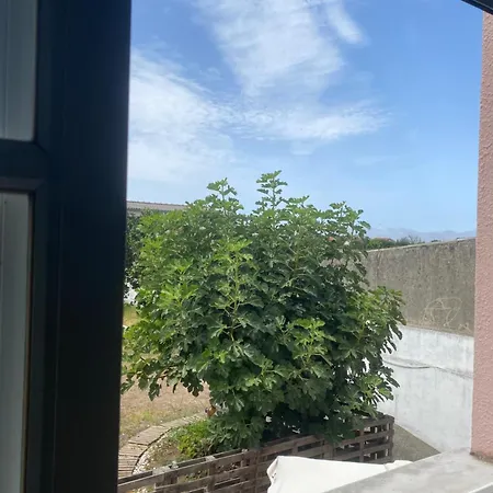 Hostel Garden *